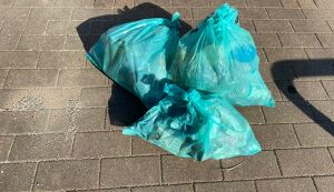 WORLD CLEANUP DAY 2021 アイキャッチ