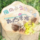 森のようちえん　お山歩隊 プロフィール