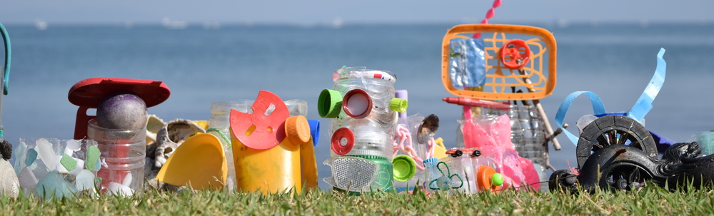 NPO法人ゴミンゴ・ゴミ拾いネットワーク カバー