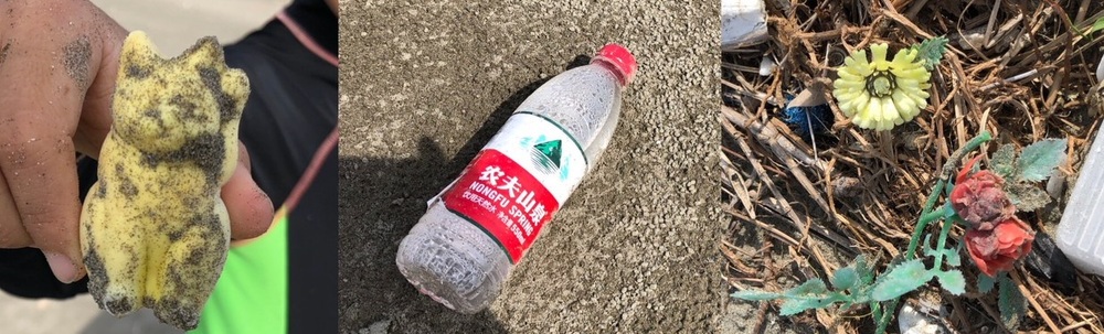 トリプター カバー