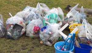 海のいきもの探検隊～みんなともだち～　Vol.2『 ... アイキャッチ