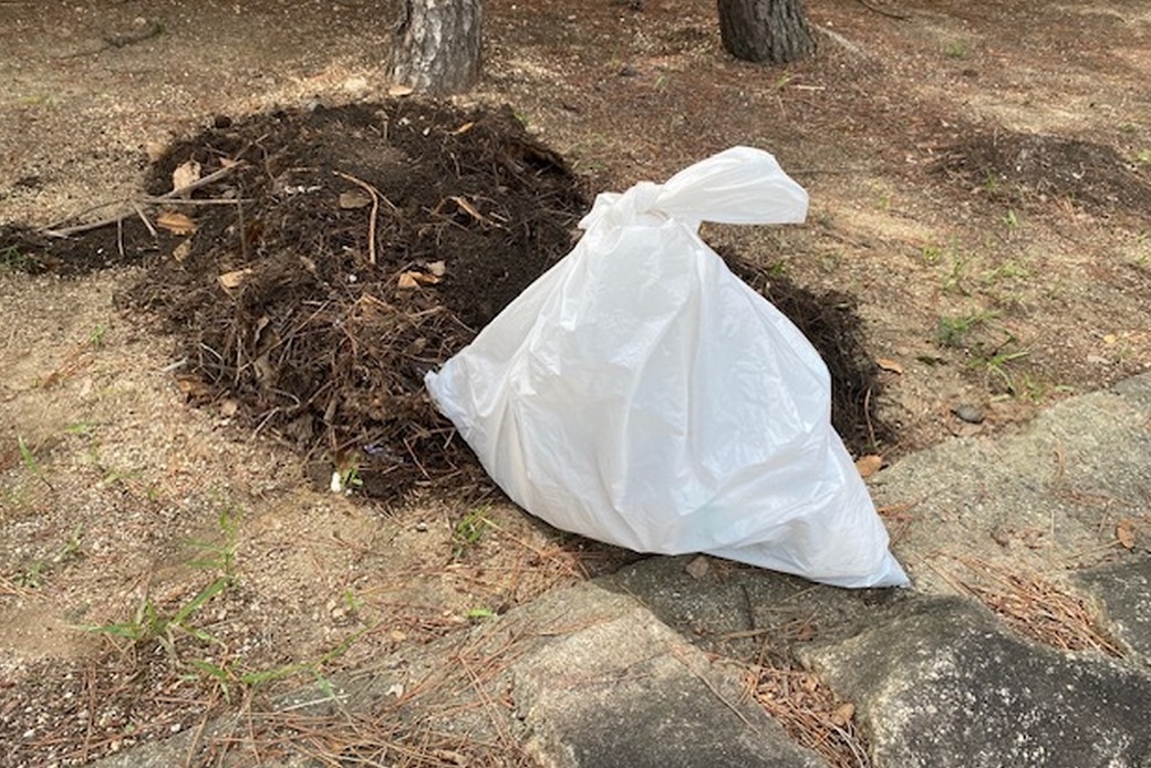 9月14日の甲子園 アイキャッチ