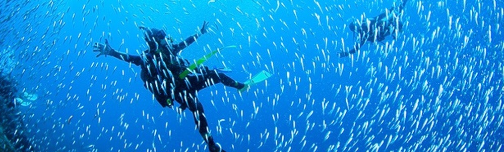 EBダイバーズ カバー