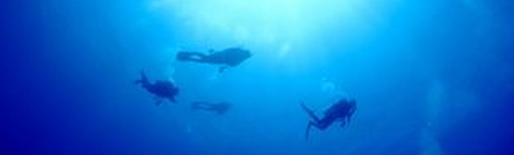 沖縄ダイビングサービス　潜水屋 カバー