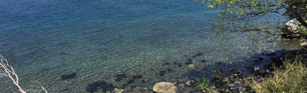 シーリフレッシュクラブ カバー