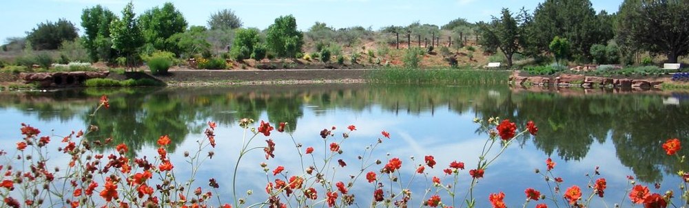 Earth Citizen Tokyo　ハッピーブレインクラブ東京1 カバー