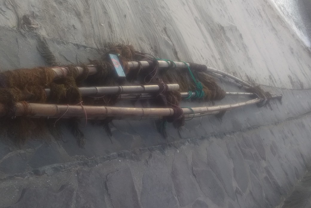 謎のいかだ アイキャッチ