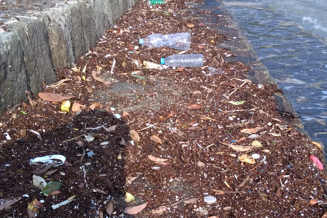 本日、浜辺は大盛況。 アイキャッチ