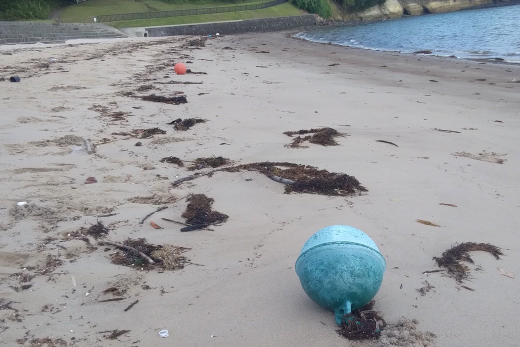 世界海光⭐ アイキャッチ