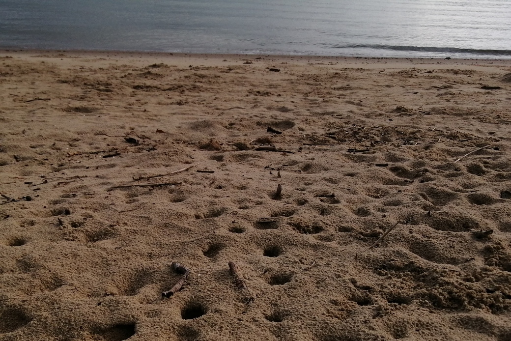 YH隊長 アイキャッチ