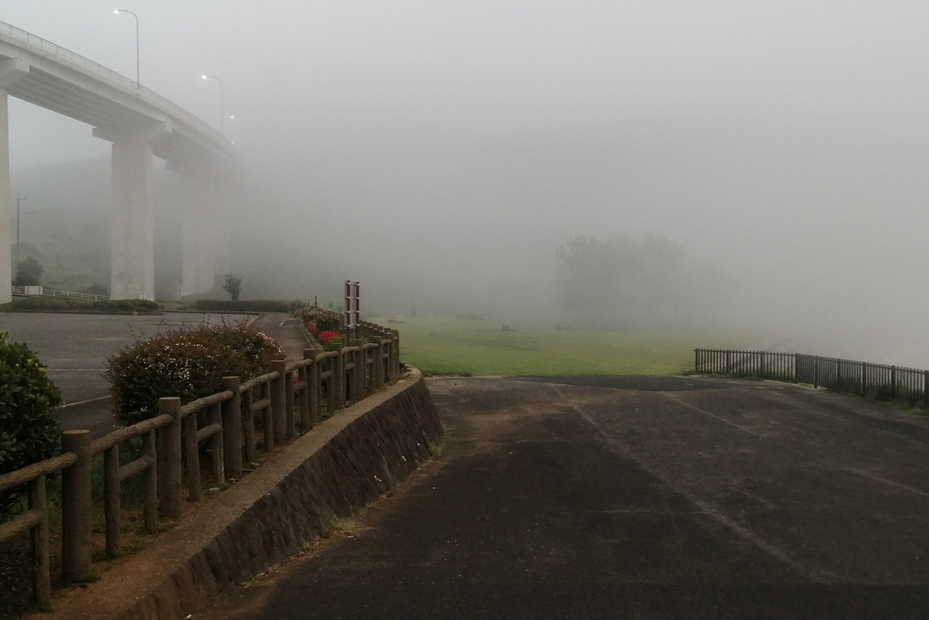 皿川からの？ アイキャッチ