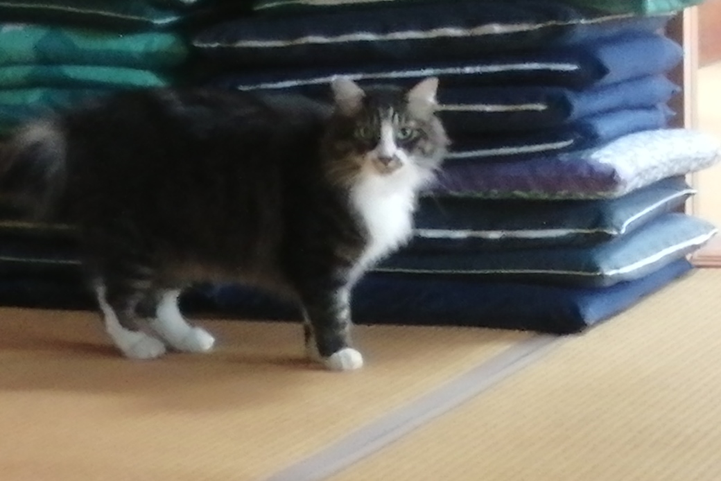 台風8号接近中 アイキャッチ