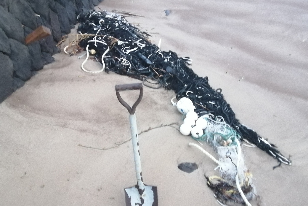 ここほれ　網網 アイキャッチ