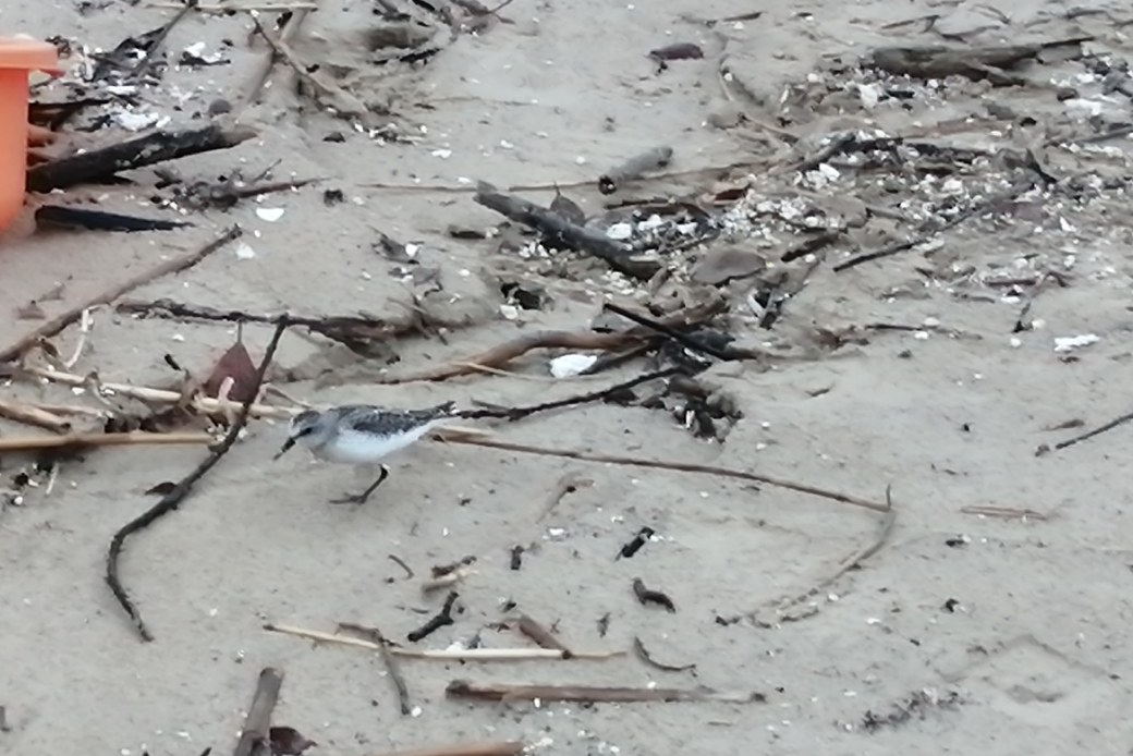 今日はなんだかラッキー アイキャッチ