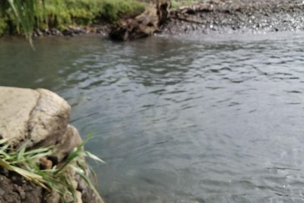 さて今日も アイキャッチ