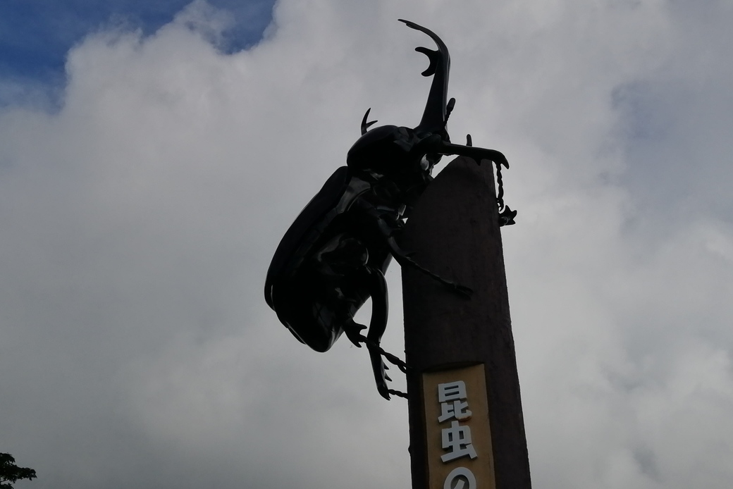 ひらど　かぶとむし アイキャッチ