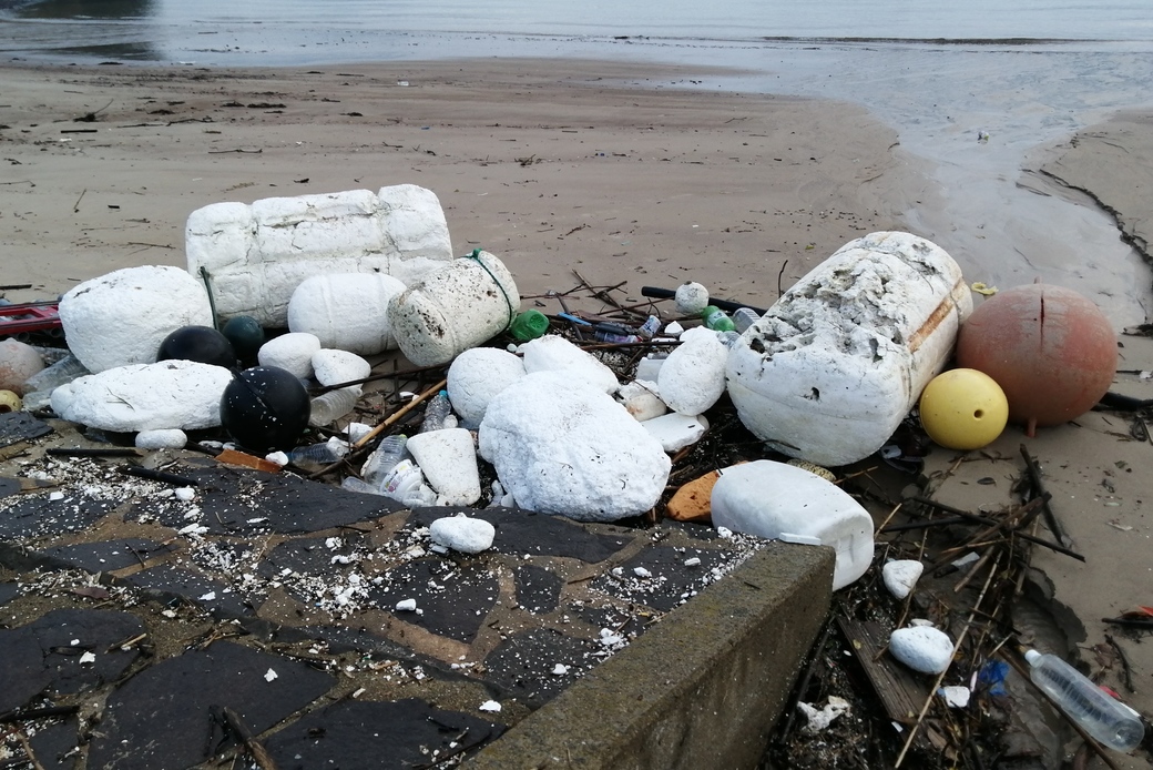 今朝の砂浜 アイキャッチ