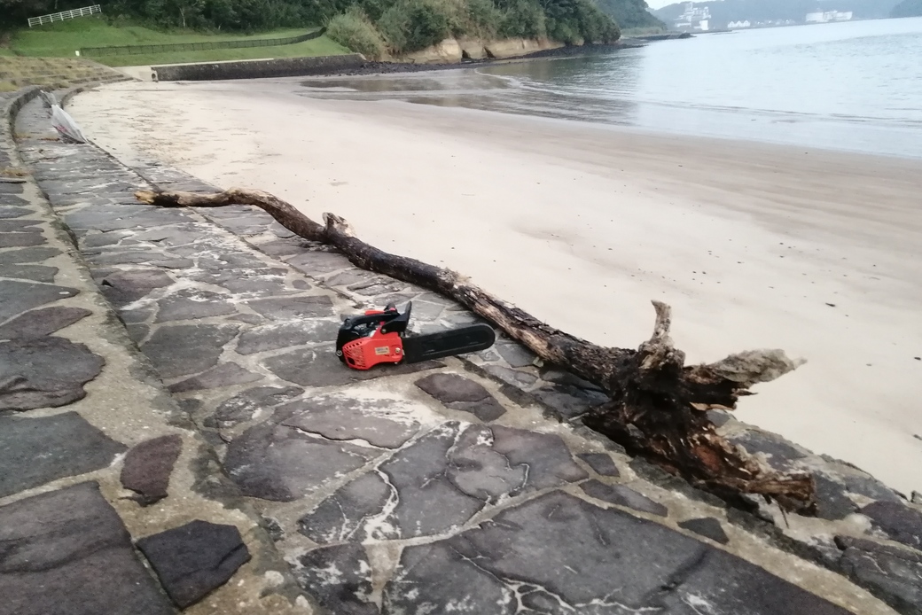 マイ·チェーンソー アイキャッチ