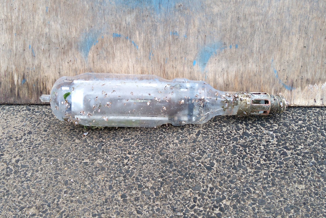 集魚灯 アイキャッチ