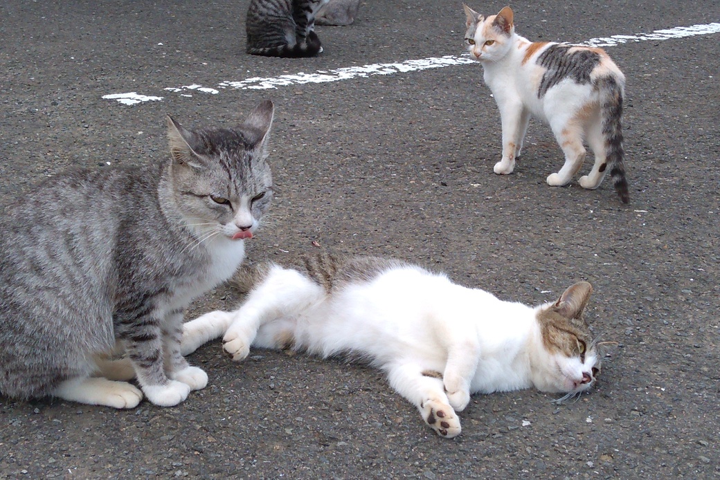 真也さんに差し上げます アイキャッチ