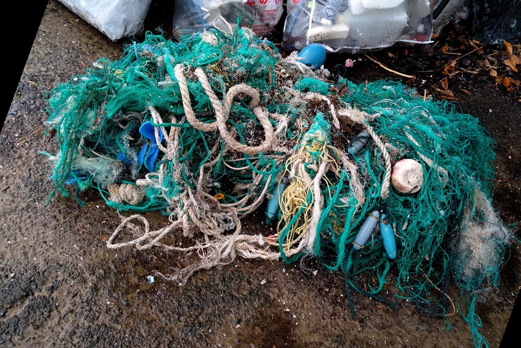 漁網を アイキャッチ