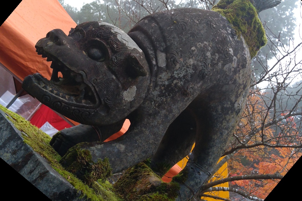 またまた本日もお休み頂戴します。 アイキャッチ