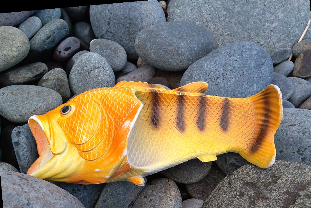 お魚サンダル アイキャッチ