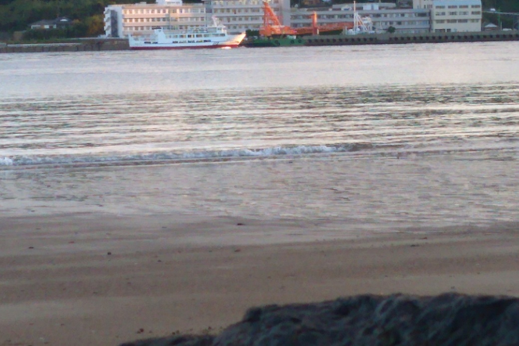 大島丸田平港　入港 アイキャッチ