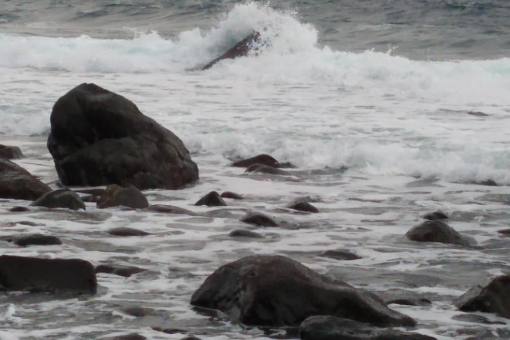 波高し アイキャッチ