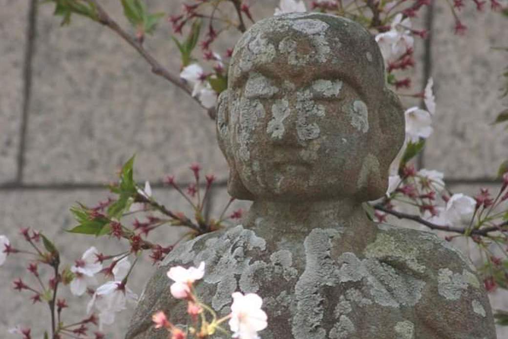 嵐でお休み アイキャッチ