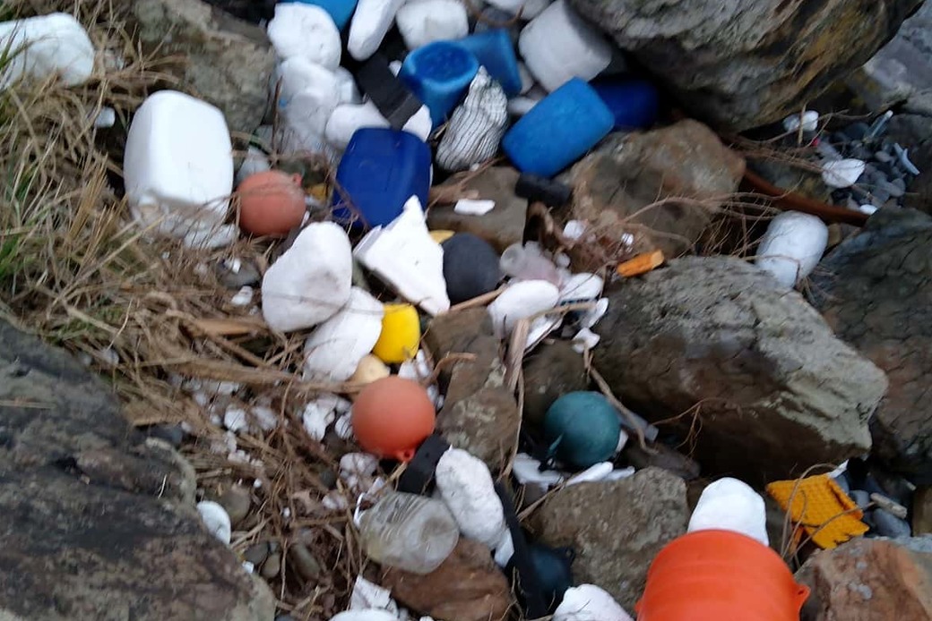 残った　残った アイキャッチ