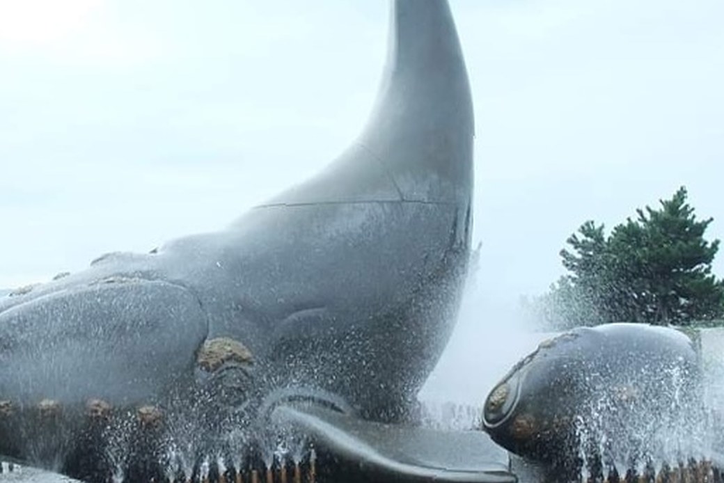 勇魚　いさな アイキャッチ