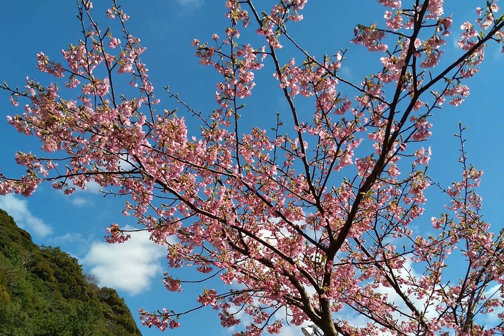 本日、海岸清掃おやすみです アイキャッチ