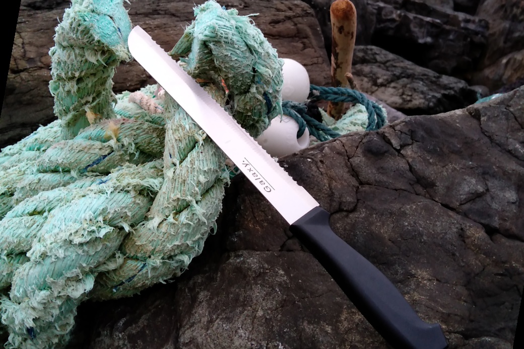 大福政利さんの知恵袋 アイキャッチ