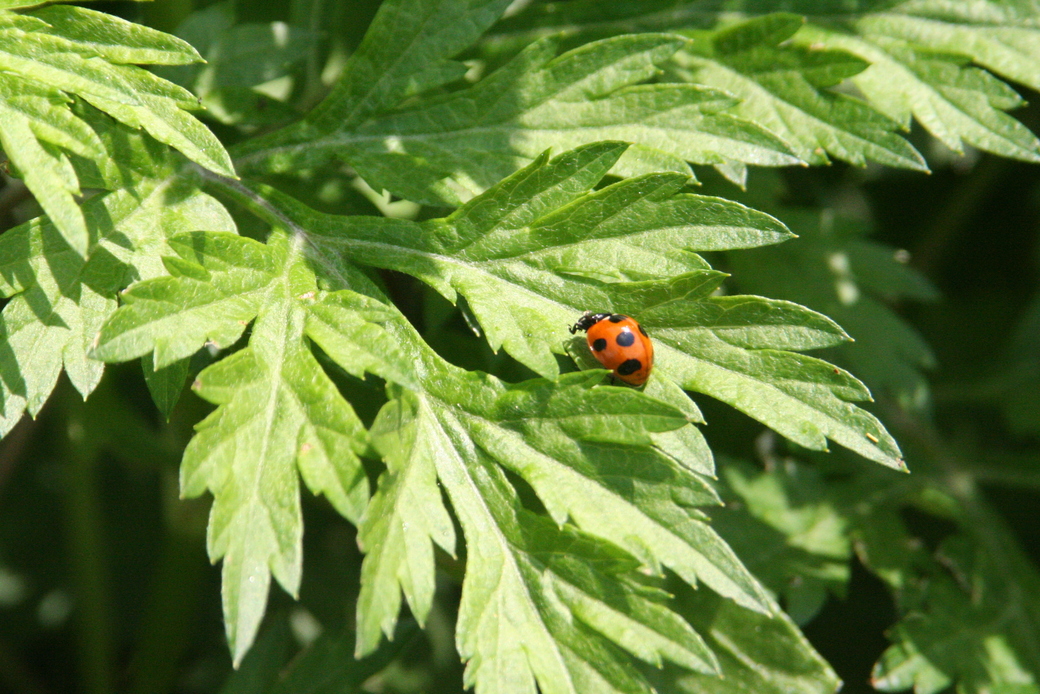 本日お休み頂戴します。 アイキャッチ