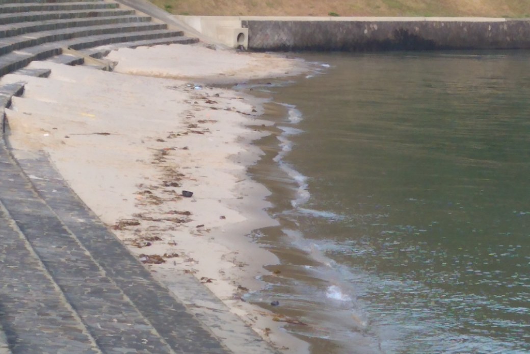 明日は満月 アイキャッチ