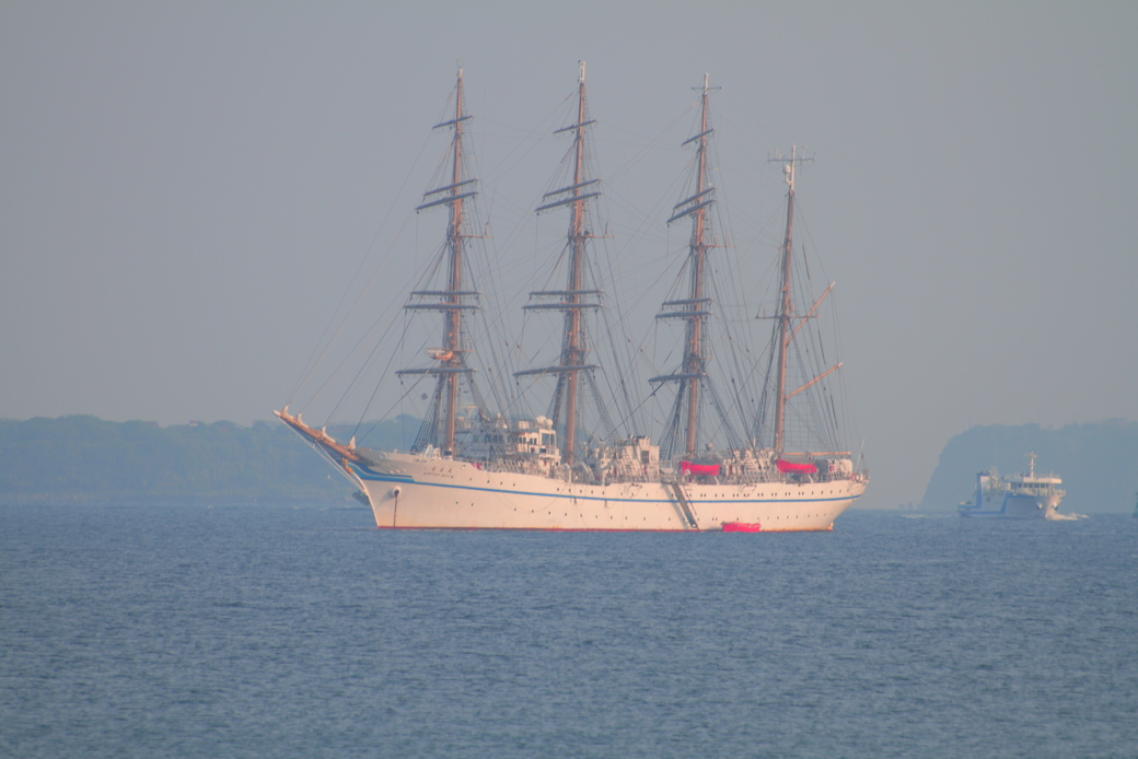日本丸 アイキャッチ
