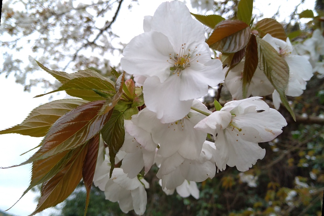 北風冷たい アイキャッチ