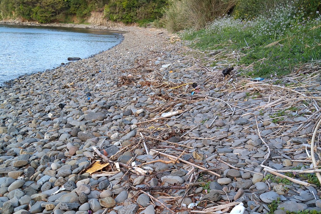 皿川海岸にて アイキャッチ