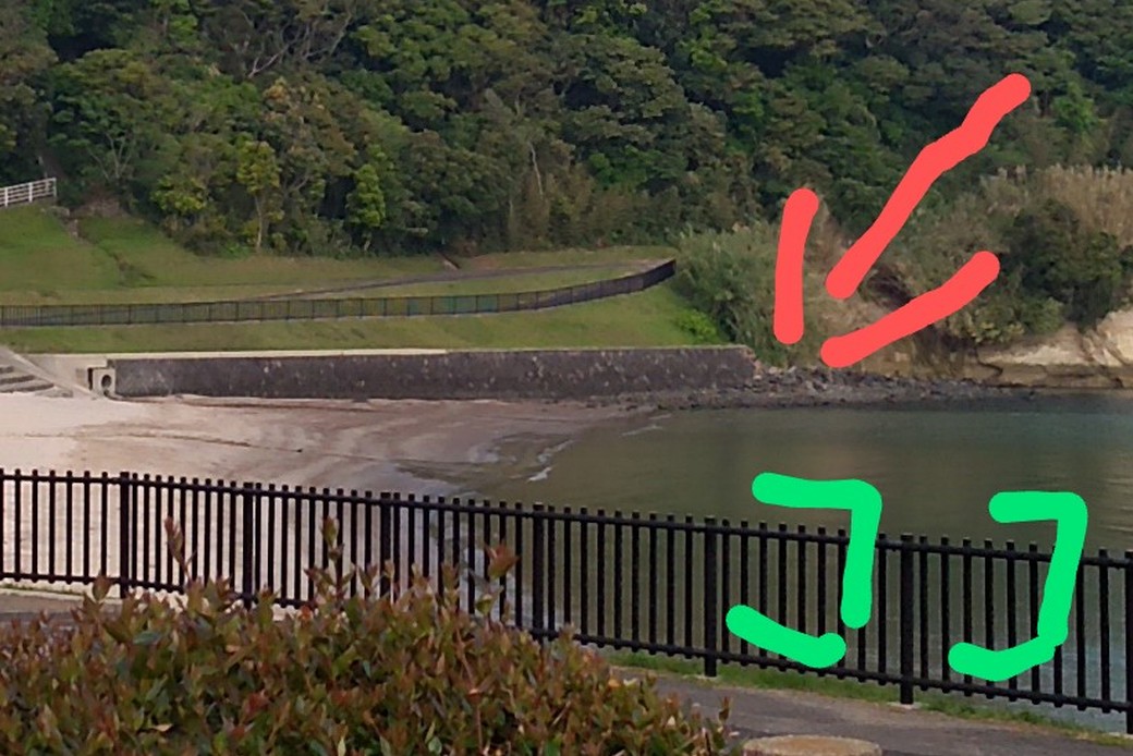 積めよ積め積め　 アイキャッチ