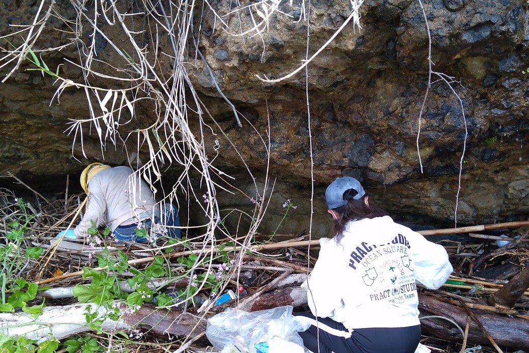 あるある探検隊 アイキャッチ