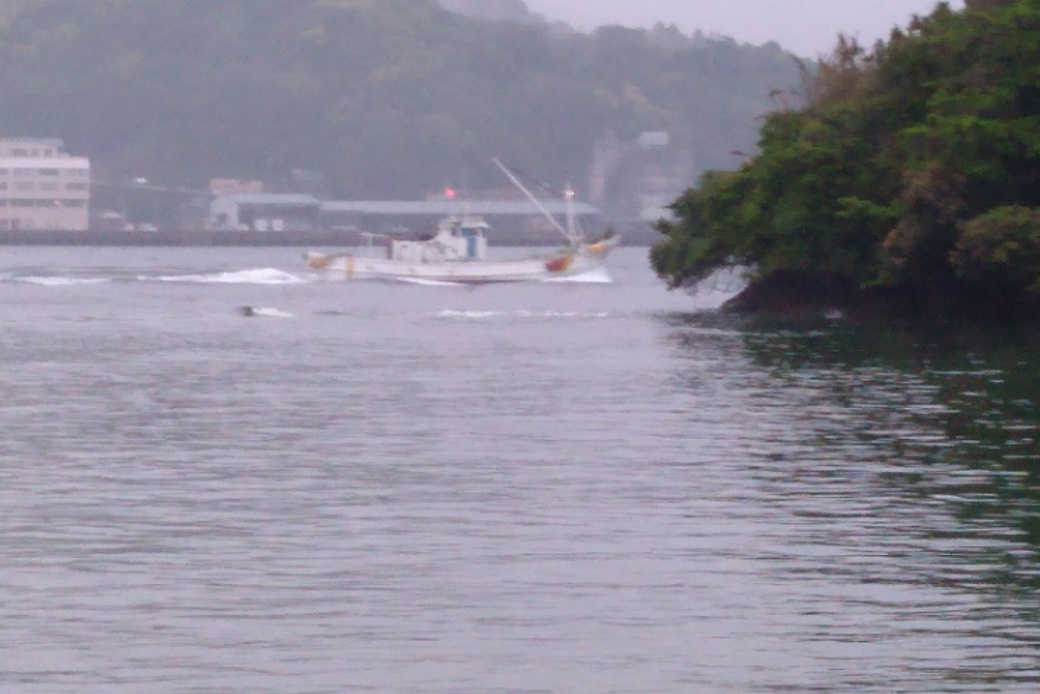 本日もお休み頂戴します。 アイキャッチ