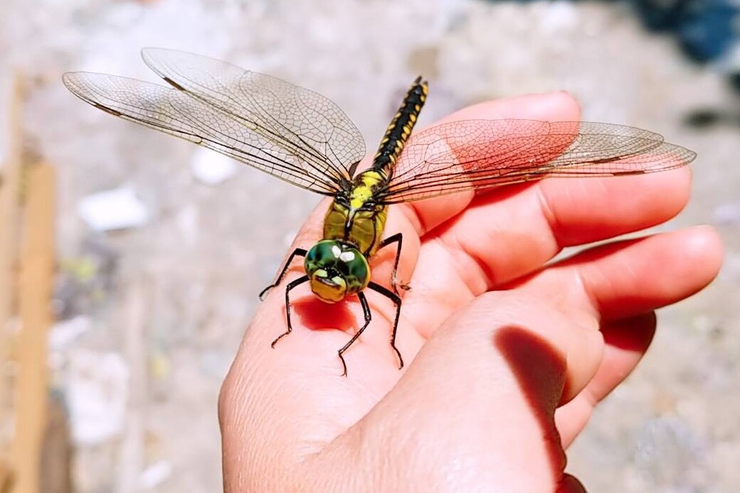 平戸 アイキャッチ