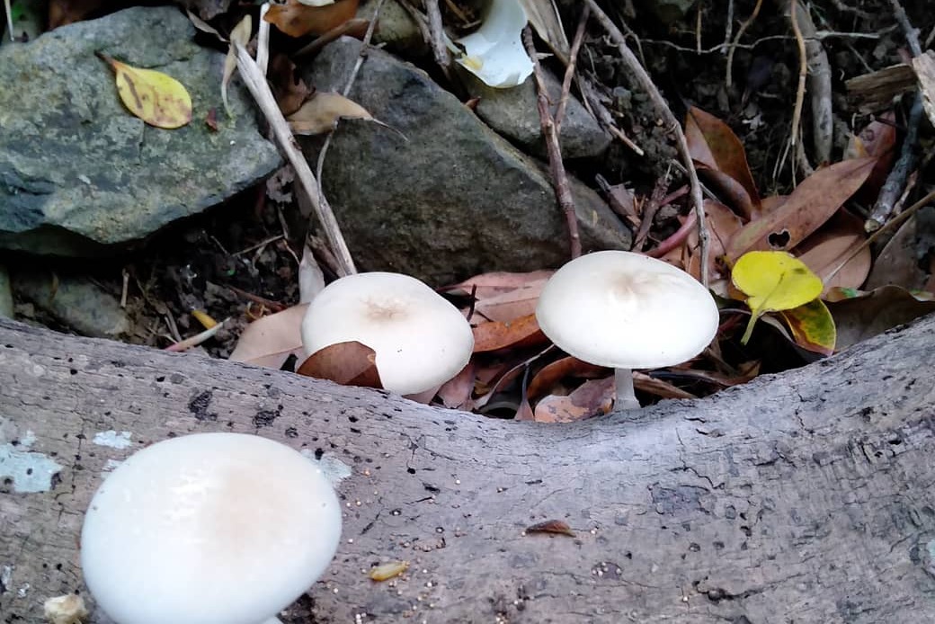 皿川海岸 アイキャッチ