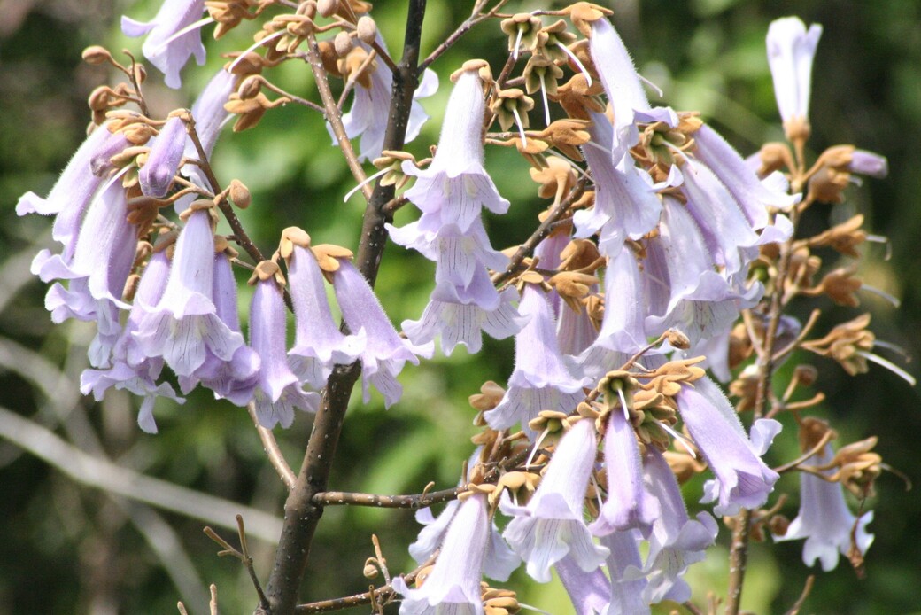 本日お休み頂戴します。 アイキャッチ