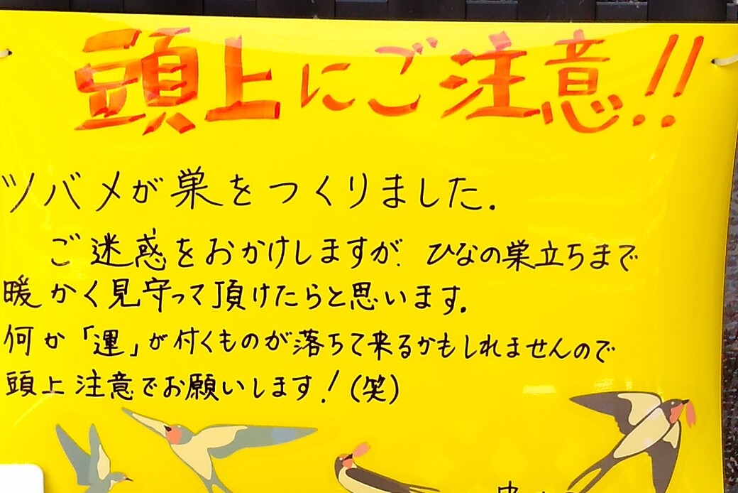 ツバメ アイキャッチ