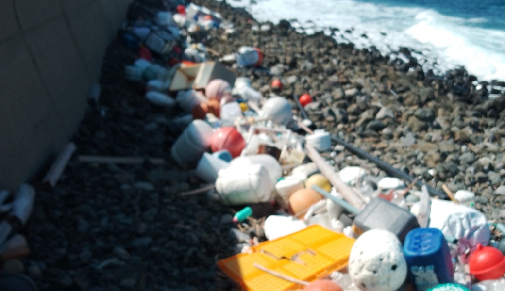 平戸たつのおとしご隊　海岸清掃ボランティア アイキャッチ