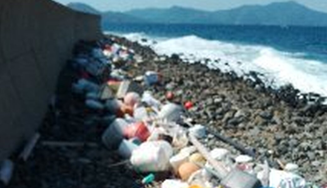 ６月１４日 平戸たつのおとしご隊　海岸清掃ボランティア アイキャッチ