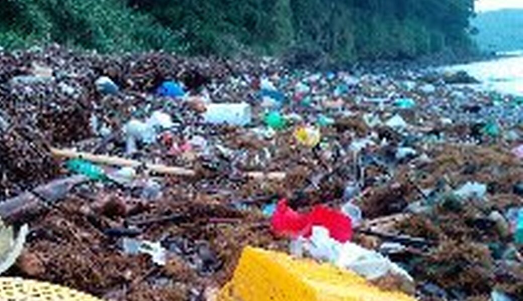 ８月１日   平戸たつのおとしご隊　海岸清掃ボランティア アイキャッチ