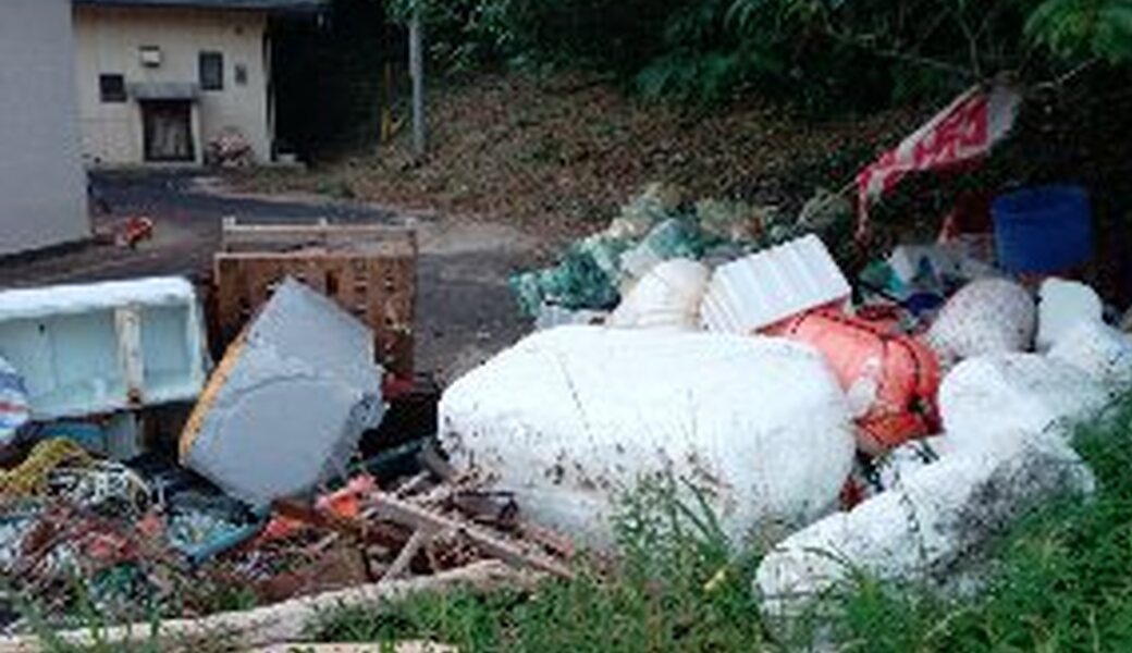 ６月２８日（土）平戸たつのおとしご隊　海岸清掃ボランティア レポート